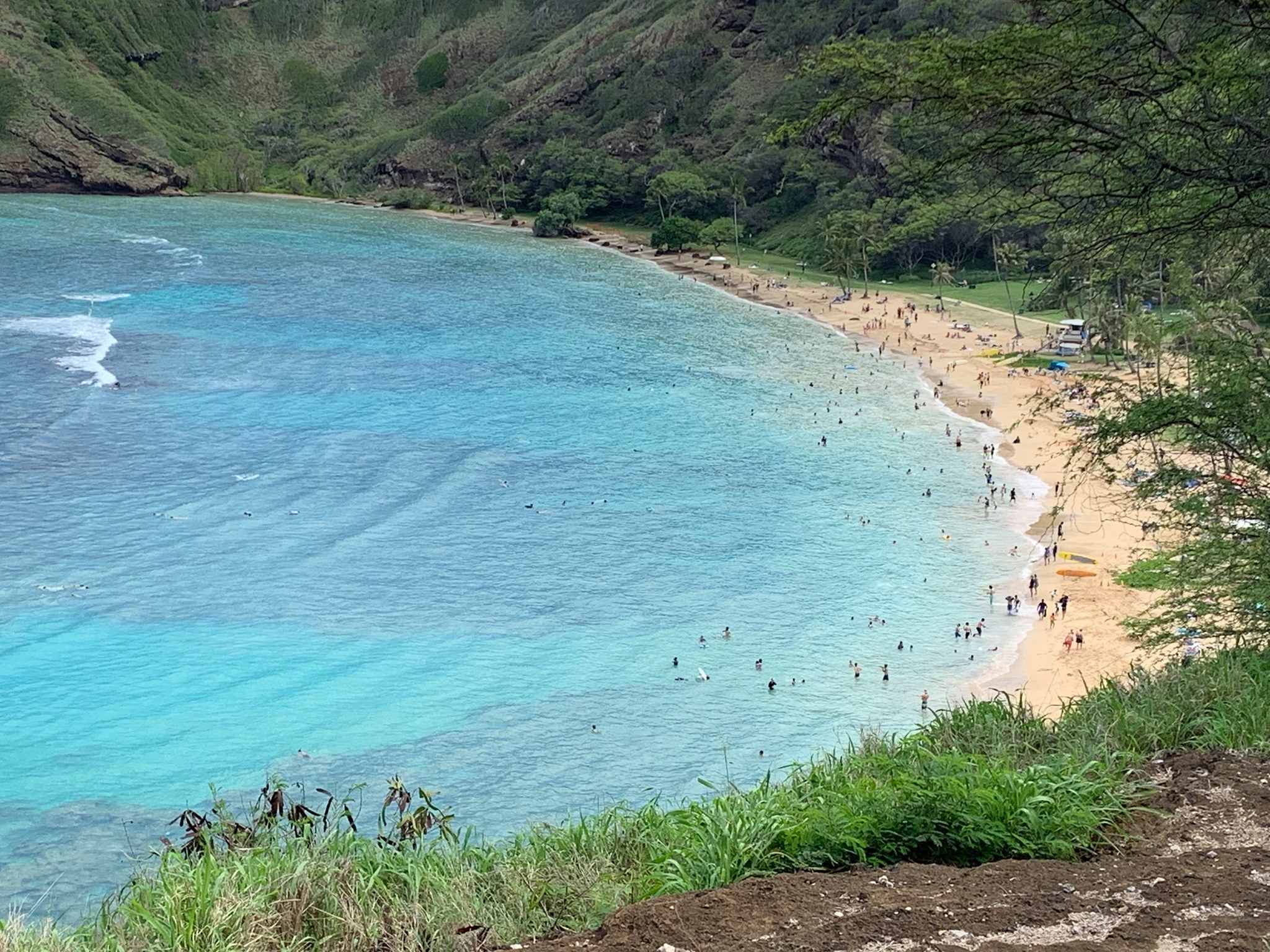 Hanauma Bay Outer Reef